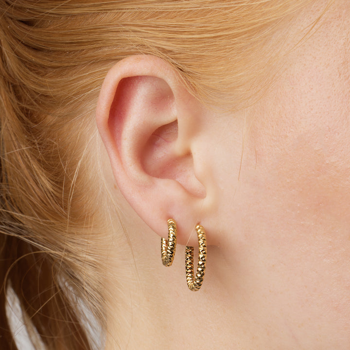 Torun - Hoops Örhängen 20mm Rostfritt Stål