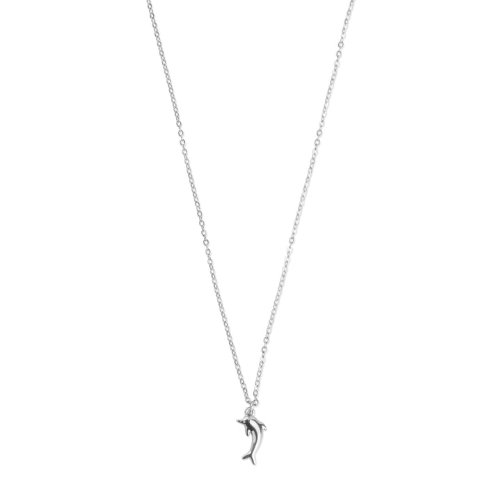 Eilora - Halsband Delfin Rostfritt stål