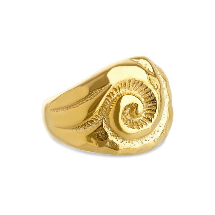 Ursula - Shell Ring Stainless Steel