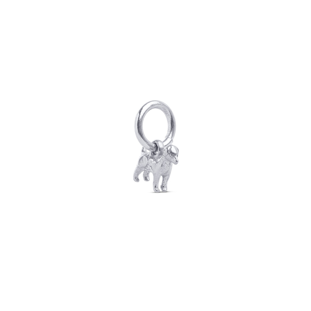 Roya - Hund Charm Rostfritt Stål