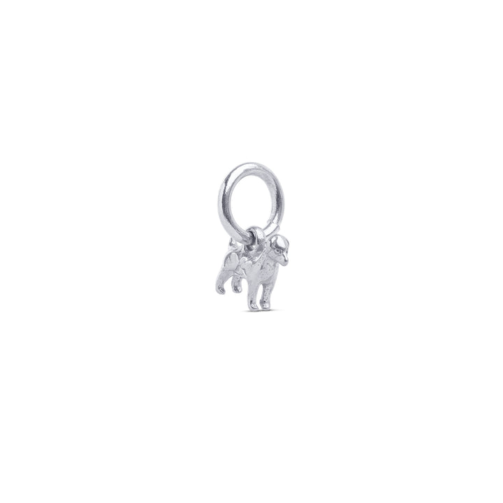 Roya - Hund Charm Rostfritt Stål